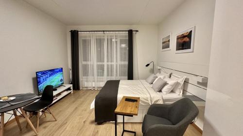 Studio Apartment