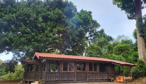 One-Bedroom Chalet