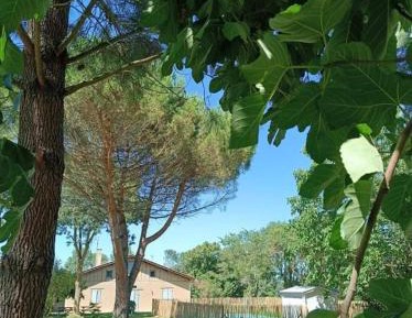 Four-Bedroom Vacation Home