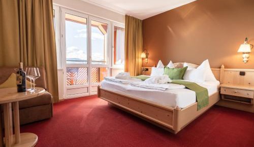  Panorama Double Room with Mountain View