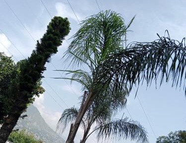 King Room with Two King Beds