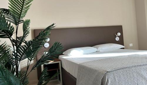 Superior Single Room