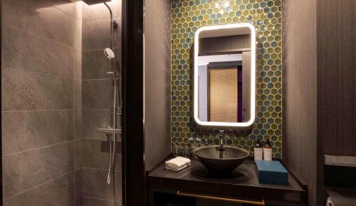 Privilege Room with One King Bed and Shower Booth - Non Smoking