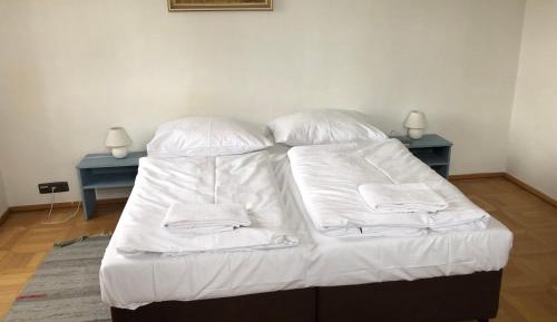 Deluxe Double or Twin Room with Garden View