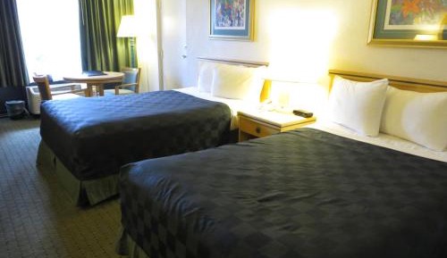 Standard Room with Two Double Beds