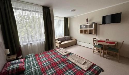 Studio with Sofa Bed