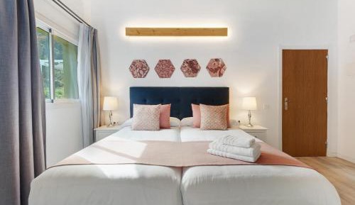 Superior One-Bedroom Apartment