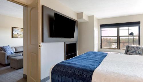 Deluxe One-Bedroom King Suite