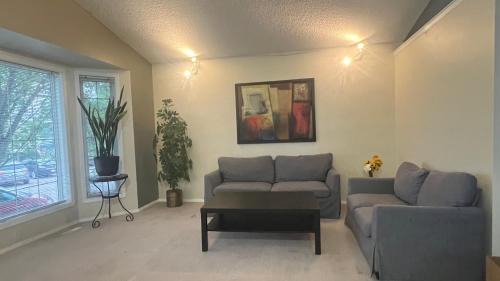 Budget Single Room