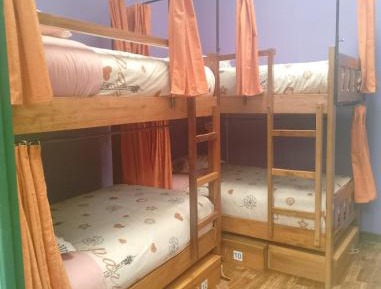 Bed in 6-Bed Female Dormitory Room