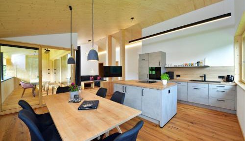 Apartment with Mountain View
