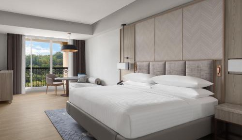 Deluxe, Guest room, King