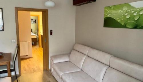 Large Single Room