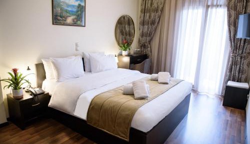 Deluxe Double or Twin Room with River View