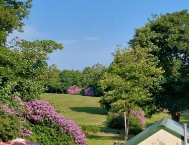 Deluxe Super King or Twin Room with Garden View