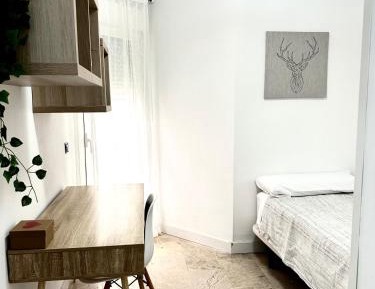 Single Room with Shared Bathroom