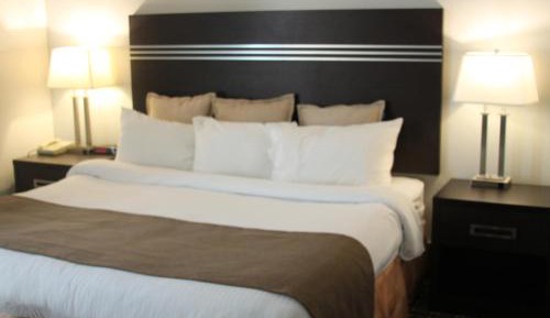 King Room - Non-Smoking