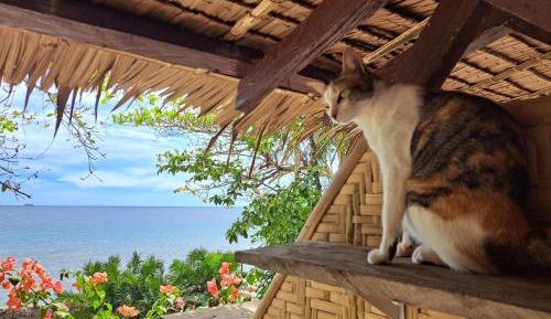 Deluxe Double or Twin Room with Sea View