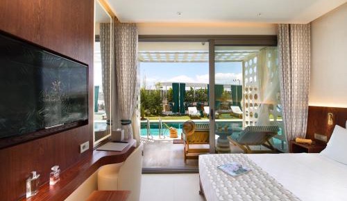 Double Room with Pool View