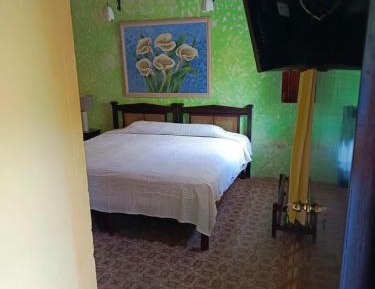 King Room with Garden View