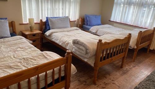 Bed in 6-Bed Mixed Dormitory Room