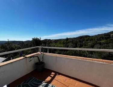 King Room with Garden View