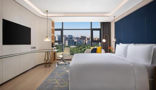 Premium King Room