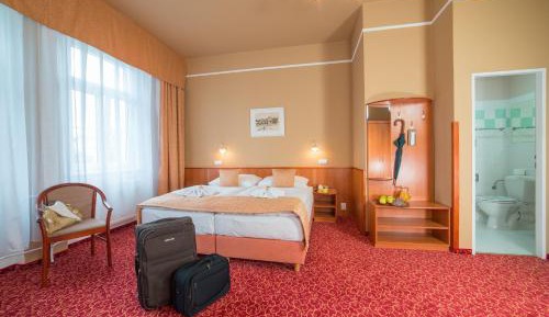 Standard Double or Twin Room