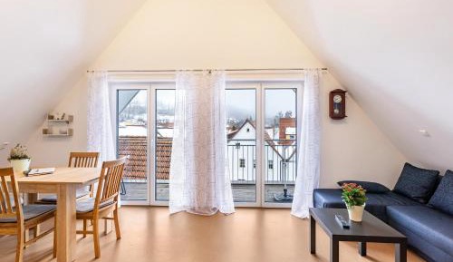 Superior One-Bedroom Apartment with Balcony