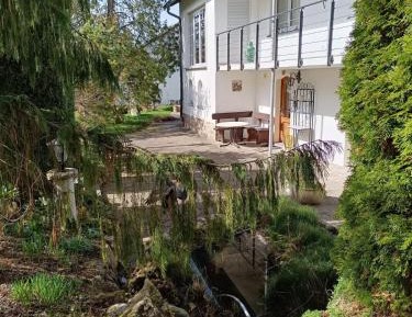 Apartment with Garden View