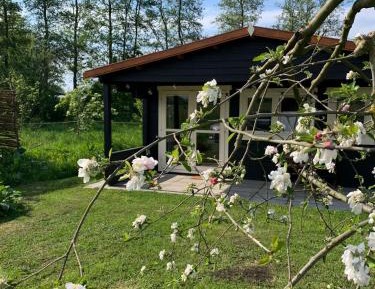 King Room with Garden View