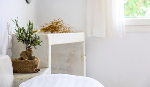 Double Room with Terrace