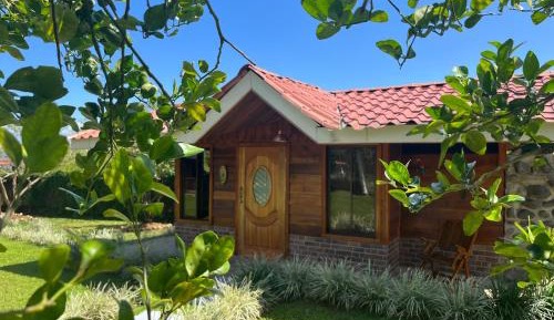 Double Room with Terrace 