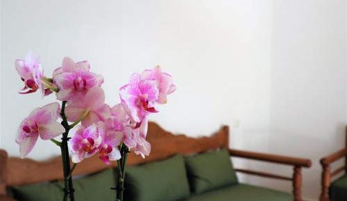 Family Room with Terrace