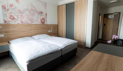 Superior Plus Double Room [Vietoris]