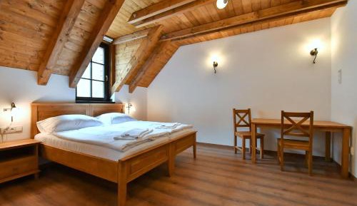Double studio with kitchenette