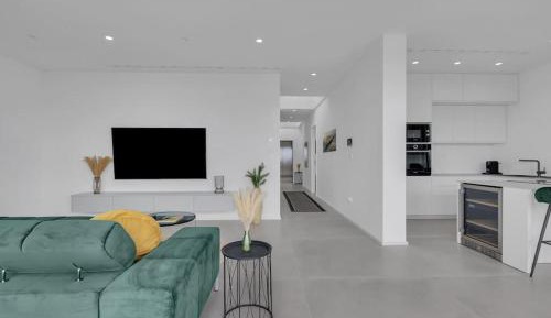 Penthouse Apartment