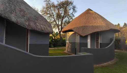 10-Bed Mixed Dormitory Room