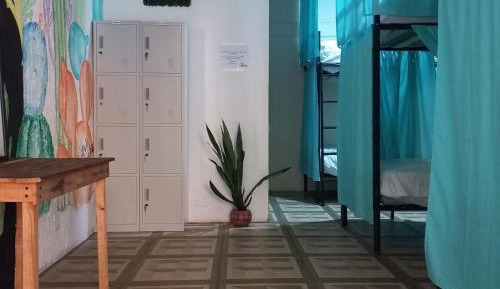 Bed in 8-Bed Dormitory Room