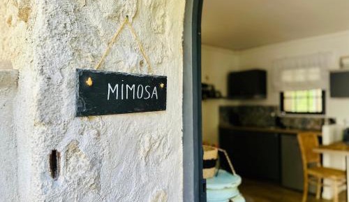One-Bedroom Apartment with Pool View