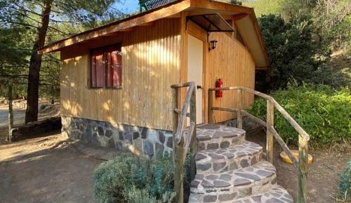 Standard Bungalow