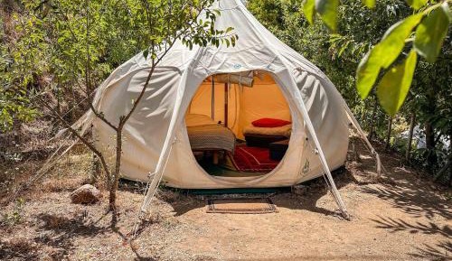 Tent w/ a Private Bathroom (4 Adults)