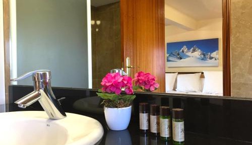 Superior Double Room with fireplace and Spa Access