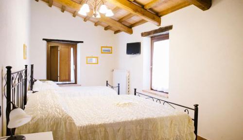 Basic Triple Room