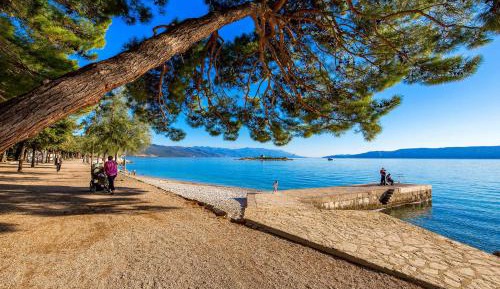 Studio - Disability Access