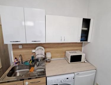 Studio with Garden View