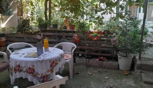 Apartment with Garden View