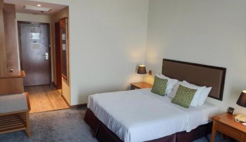 Superior Double or Twin Room with City View