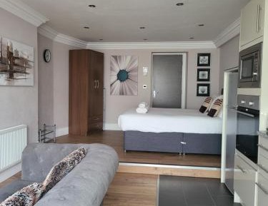 Luxury Studio Apartment