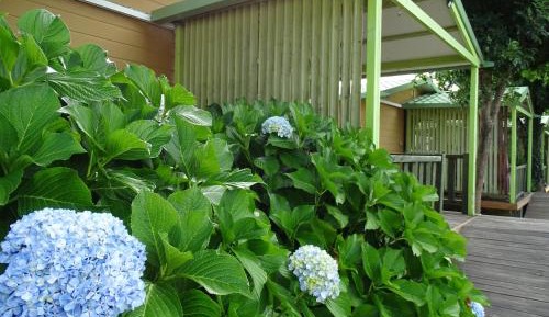 Bungalow with Sea View